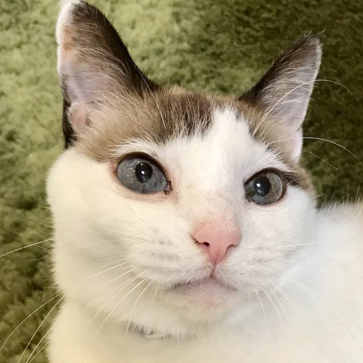 C050811e 9781 4cbc ae61 17d9179a75e2 1605253358254