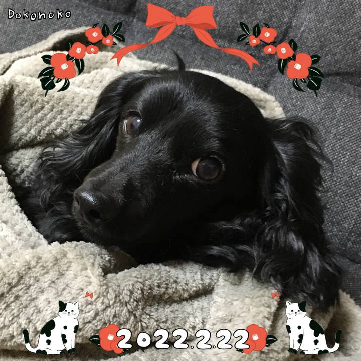 C050858a 924a 448f b518 aaa7c24ad106 1645521300780