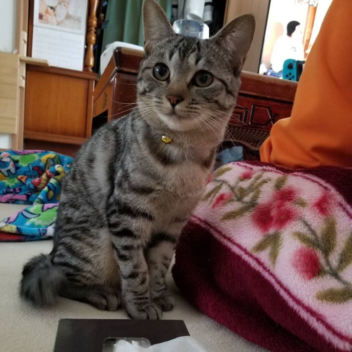 C050fb29 ee10 41a4 b820 3a4b6c819cf3 1677251490758