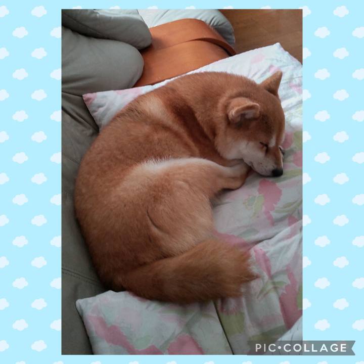 C0513400 45a2 4e72 b01b c3b3d7b71330 1753073065804