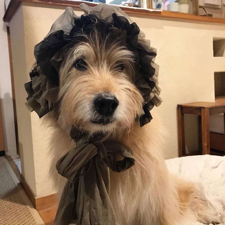 C05169c7 035e 4b4b 9801 55b34d7e2c30 1678288662849