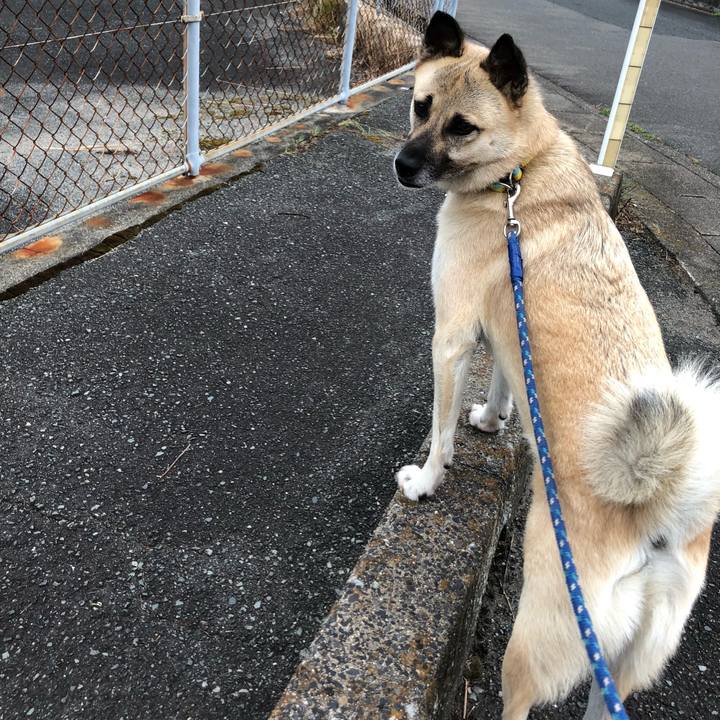 C0517c2d 4778 41f9 aec7 28b052156142 1599132845254