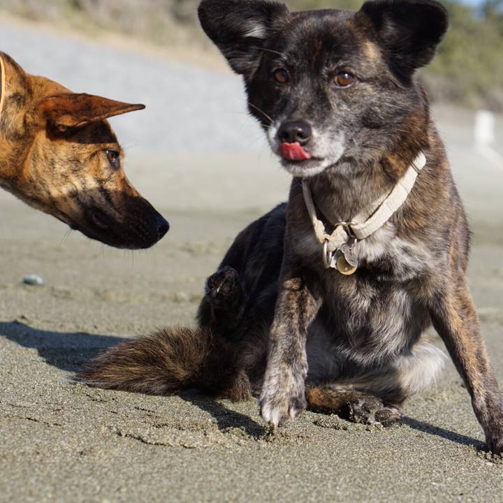 C0518104 d85f 45f5 a73d 845f4cdf09eb 1584839616198