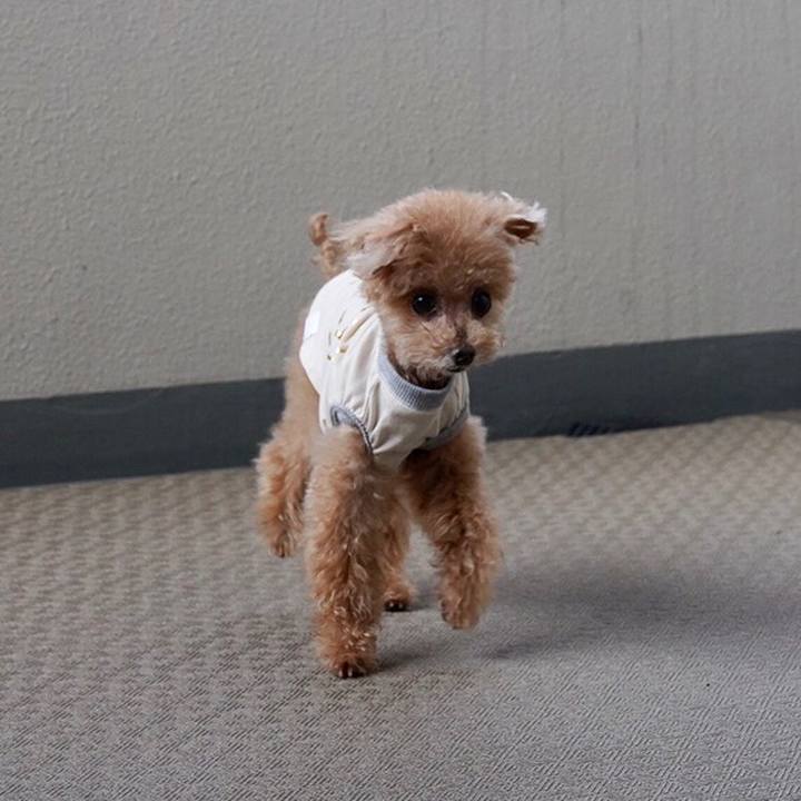 C051821f 3f8a 4926 b635 e00b839e5003 1699272765809