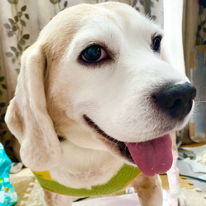 C0518544 8897 43bc 9f9a 851f57385473 1648616419717