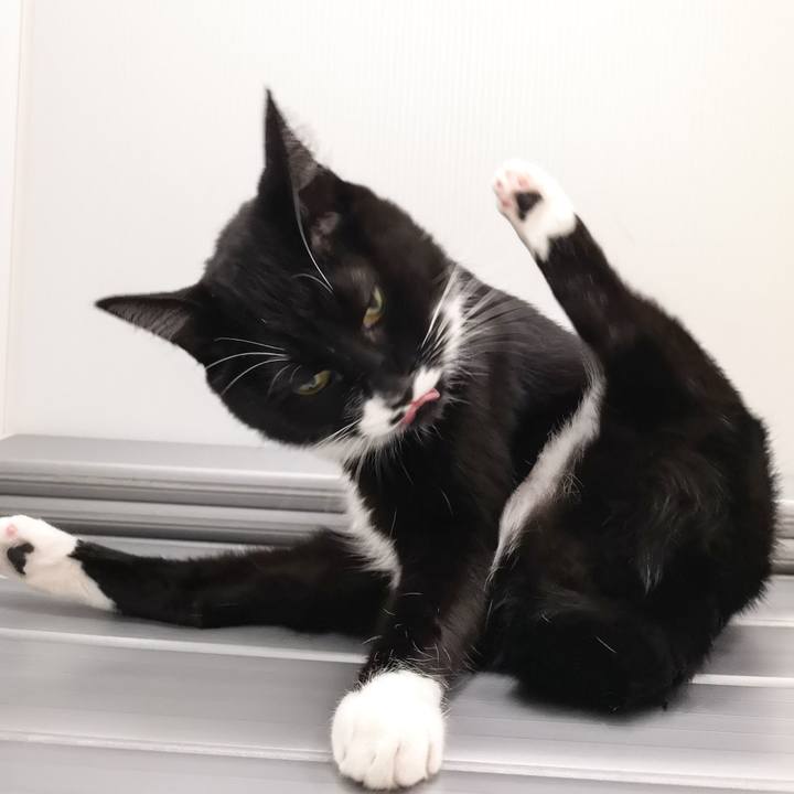 C051ab70 4add 4d67 9674 ab73311e935c 1542559019989