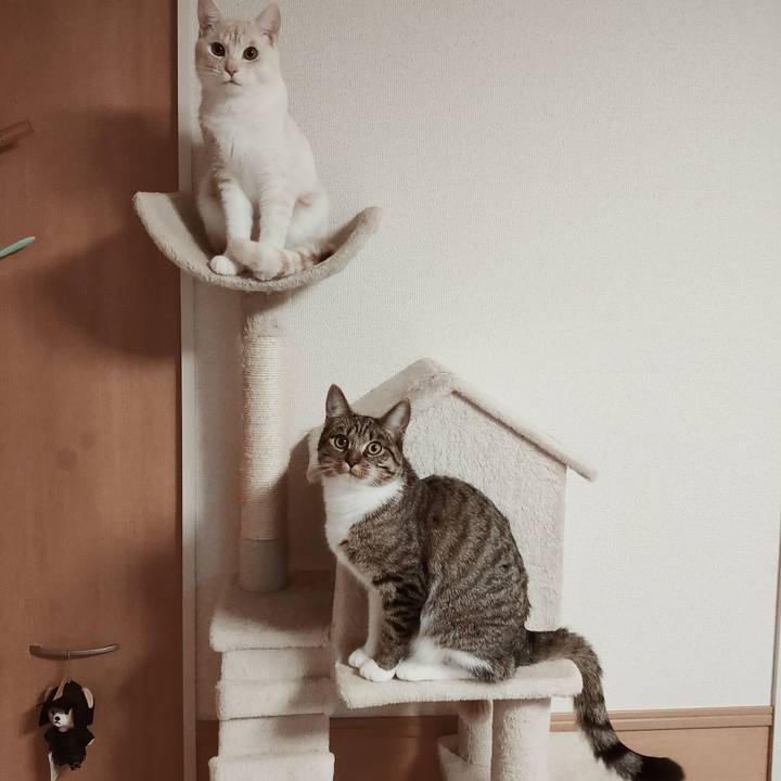 C051b648 6414 4e6f b231 0ab4cdd7a8d2 1643932728979