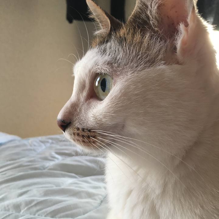 C051d58c 63f8 40c4 ad03 c2404864fa36 1568495186226