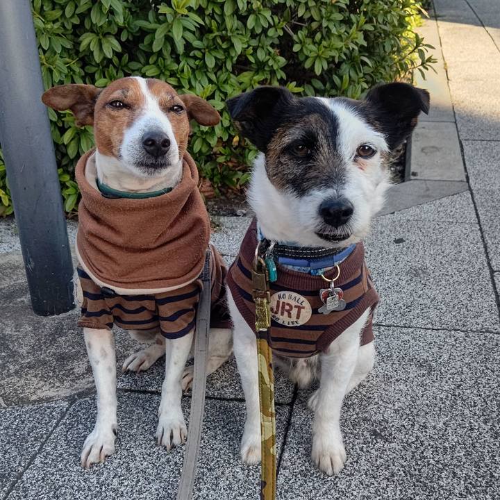 C051dac4 1f98 44d0 add9 7530b1a3ebc1 1710455121582