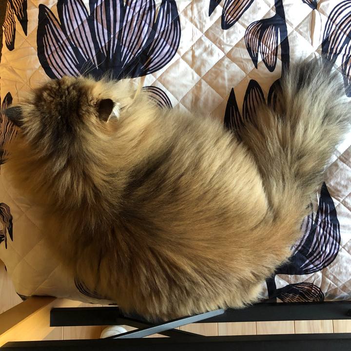 C051dfed 0f56 419f b3ce 1d274e893535 1581073013126