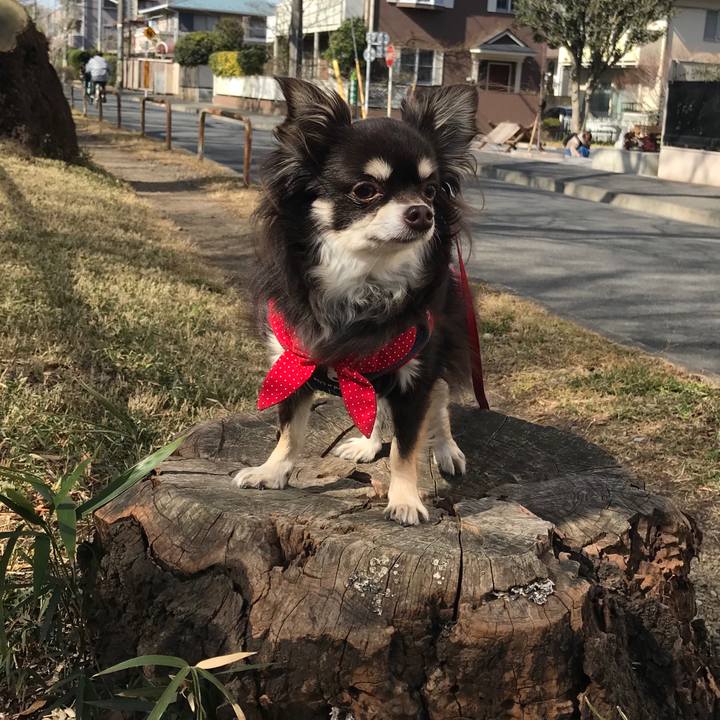 C051f0e7 85c8 4acd 83c5 e7140db84129 1550290808346