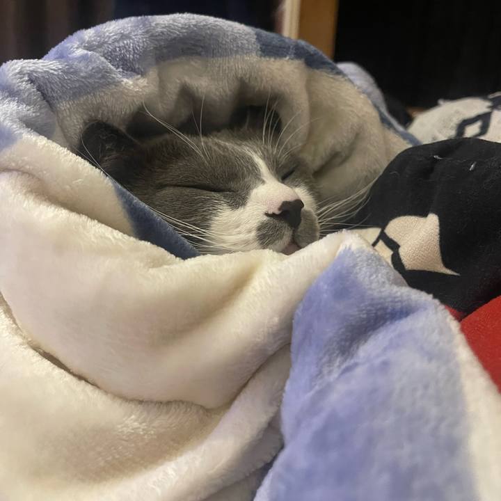 C0522028 2cbc 4f46 b358 5109ed88d23d 1703072813631