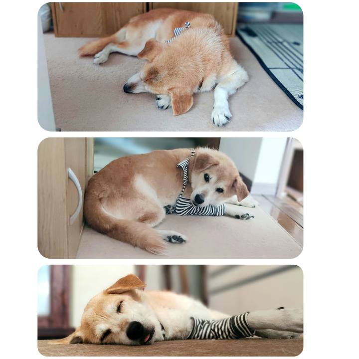 C0522ec6 a307 443f ad0e eb870f643654 1663317395152