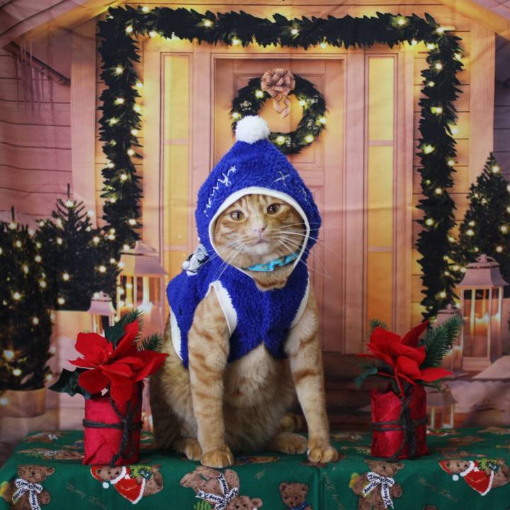 C0524a08 af64 477f bf49 2bb7bba8ea5d 1735120260136