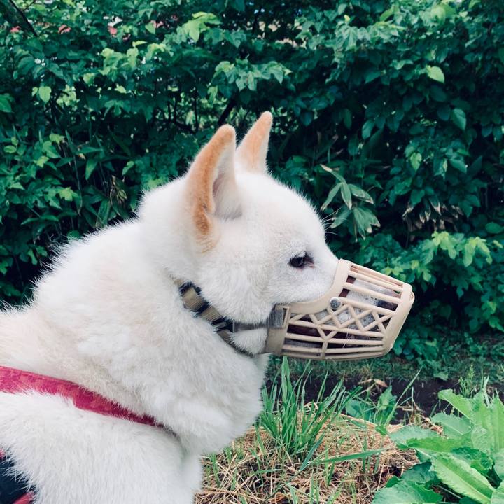 C0529090 bd19 41b1 b39d c076c5640615 1592345373029