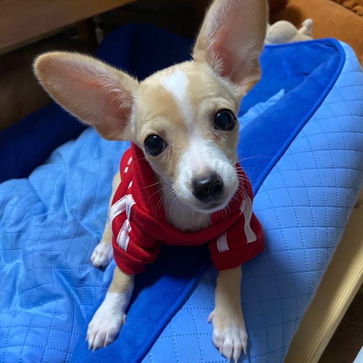 C052aa34 e5b6 42fb a2c5 3c02db838914 1662208784845