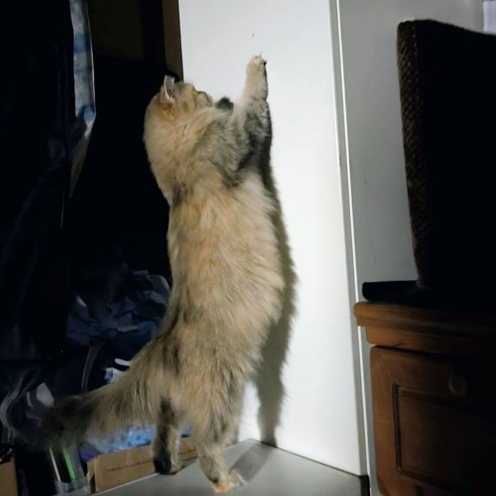 C052bb75 5ebc 44be 9864 f93a5b4cf79f 1759186727811