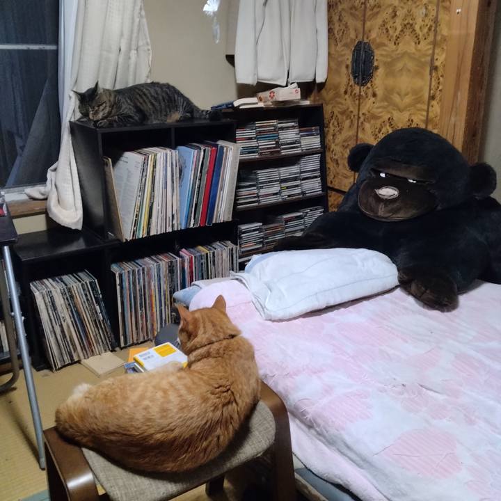 C052c3f4 0d5c 4f57 8004 63bc298aaad4 1693742216555