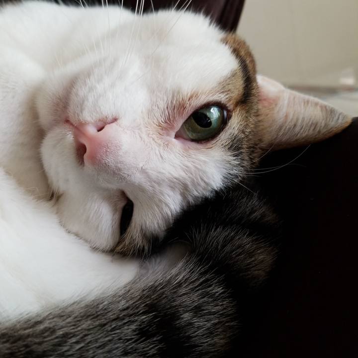 C05357c0 7d7a 4ea3 bb8c 2d34996edc65 1581726245165