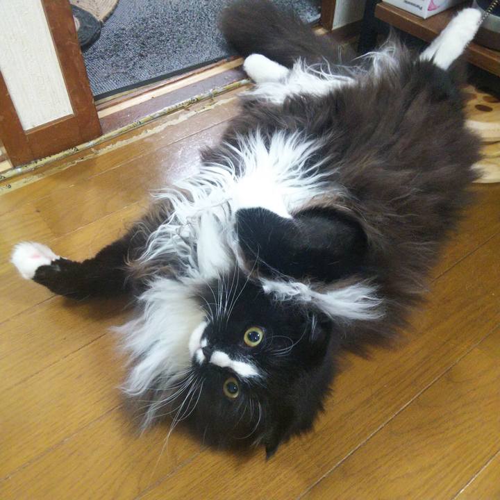 C0538406 2668 4a2f be92 02ef93d1a71e 1659965093616