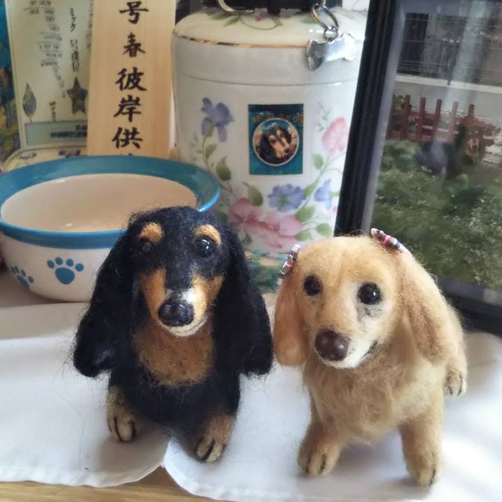 C053c971 88f7 4ebc 89cd 85f964462a8e 1590040394779