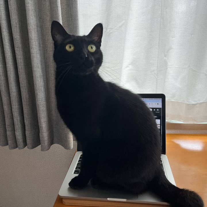 C053ecf3 d485 4ecd 8979 6f6da514182c 1716166807621