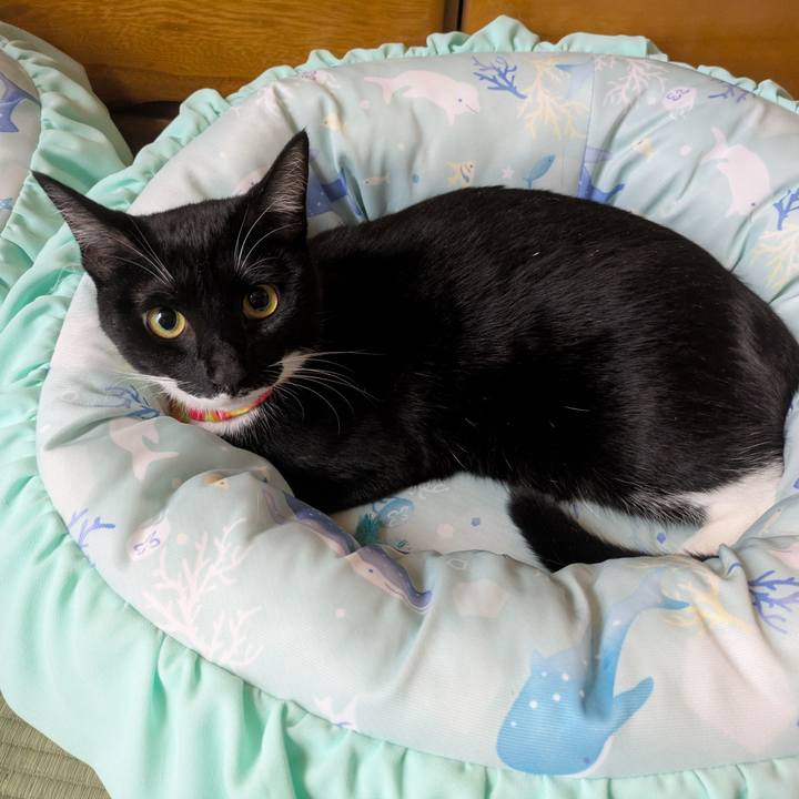 C0541580 96b4 4cb5 b8c6 57bdfcffd563 1763167703720