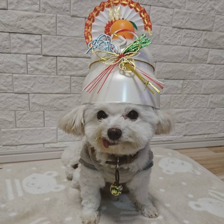 C0542c91 ee44 48a4 85e6 c136cc7700c0 1579009287960