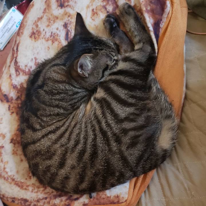 C054449a cb6e 497c a318 bad0e4f5afad 1548559574005