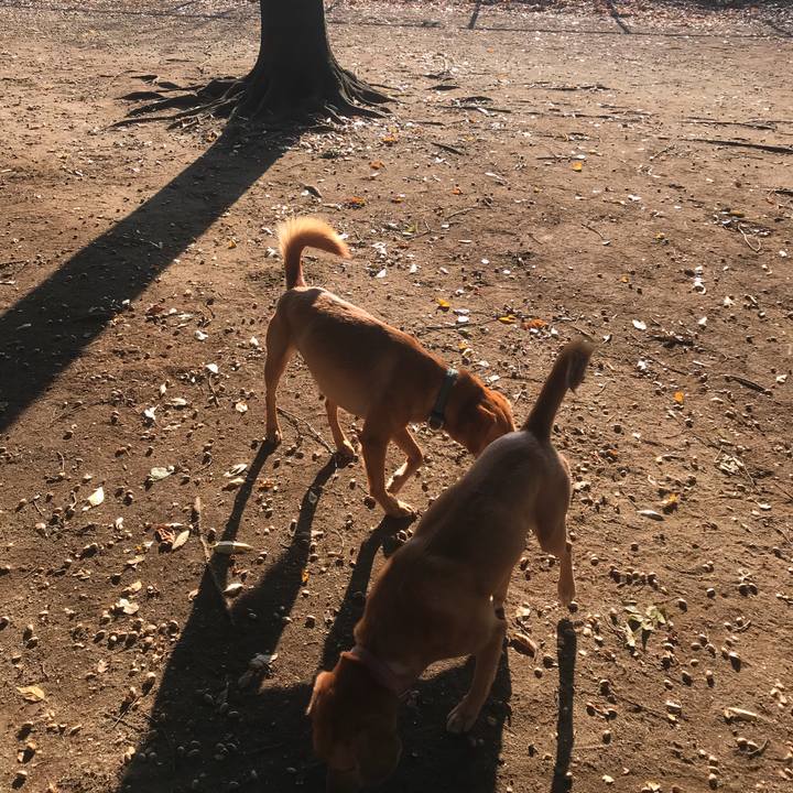 C0549c75 d811 4052 8fc3 5ec416f4aa9a 1509859287966