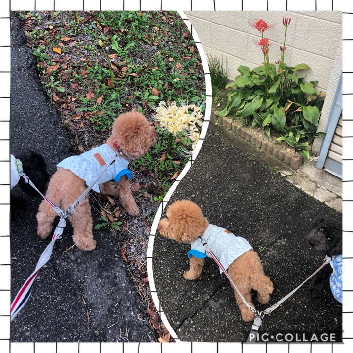 C054a558 1d16 4fe2 abfb 79d99c2f0394 1600934735406