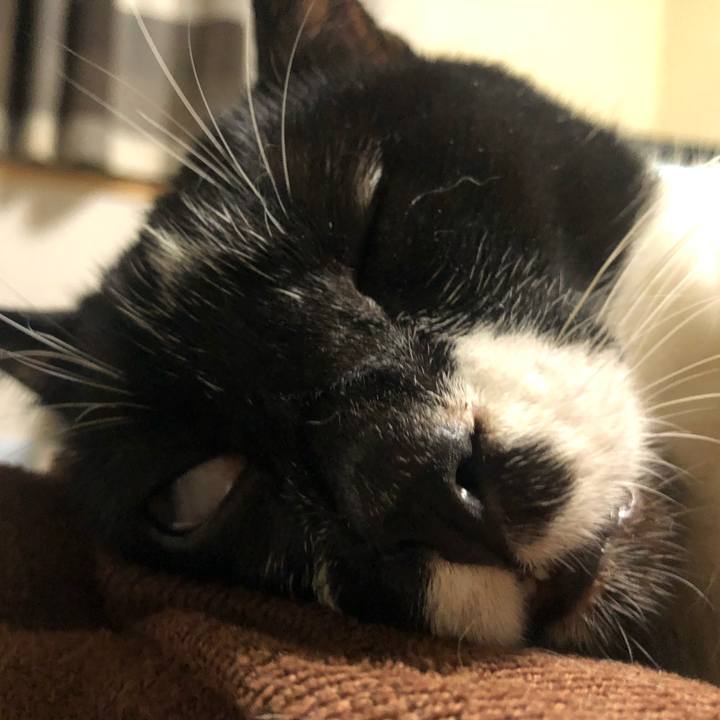 C054cbdf f406 4d99 8753 f6c0a21ac80e 1598717558775