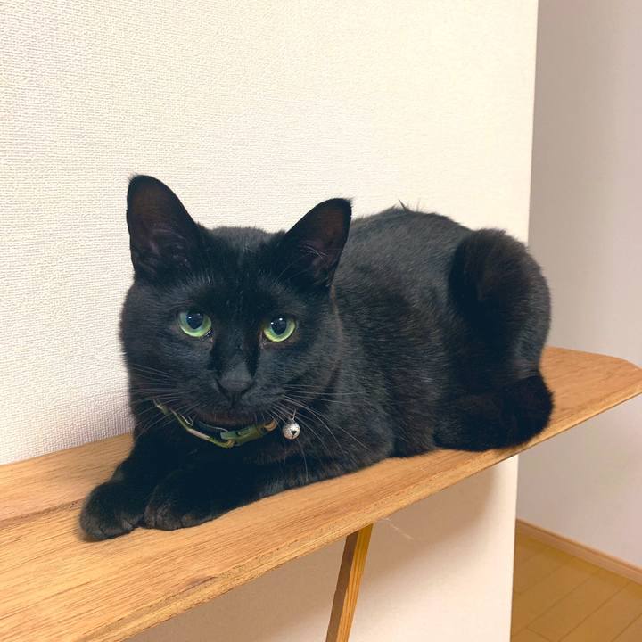 C054de58 42e0 4242 bb73 bb2d6f3e0f4c 1558224559077