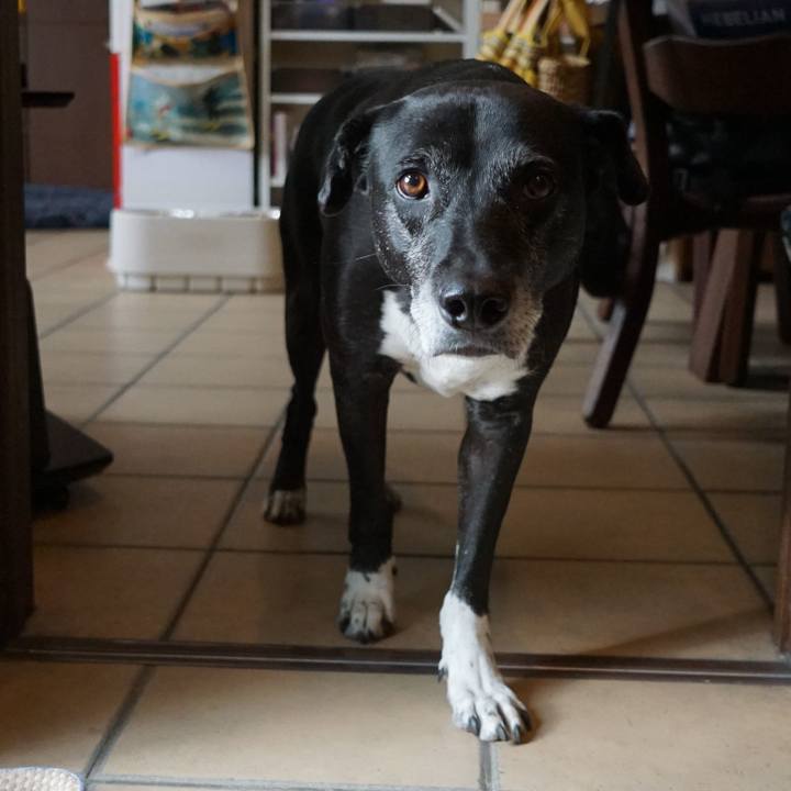 C054f242 f4bb 4f4c 8444 71a96f4d99a6 1762599549964