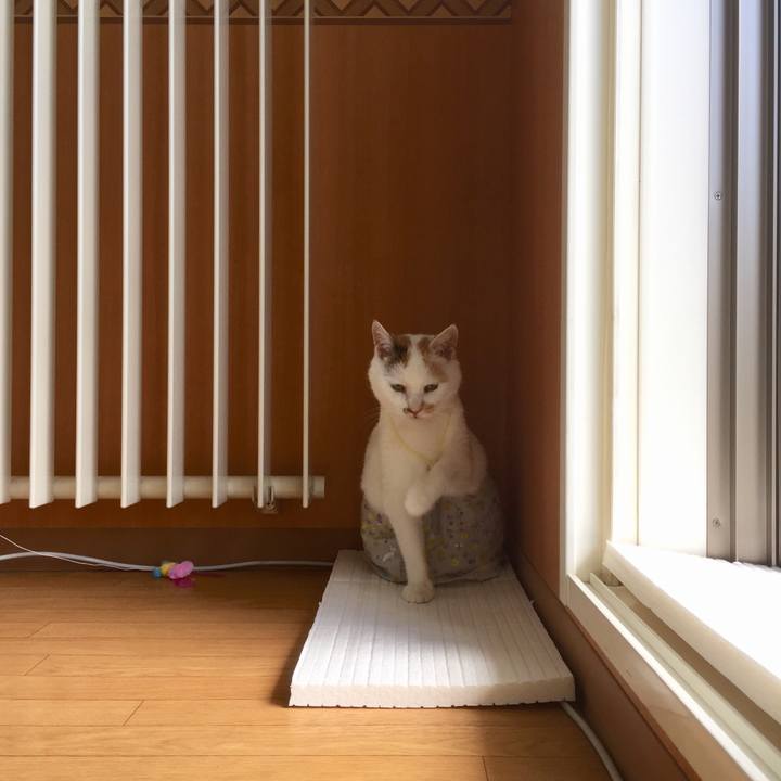 C054f50e 30d3 4fc7 a713 d3f2fc46e5f1 1532873047911