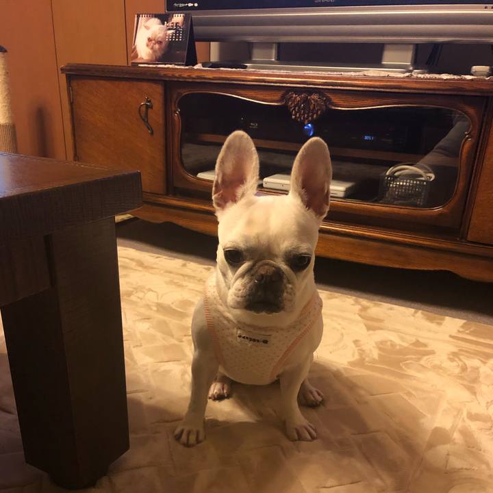 C054fab3 4da3 4ccd a160 7cfdf6b6cbae 1551493873993