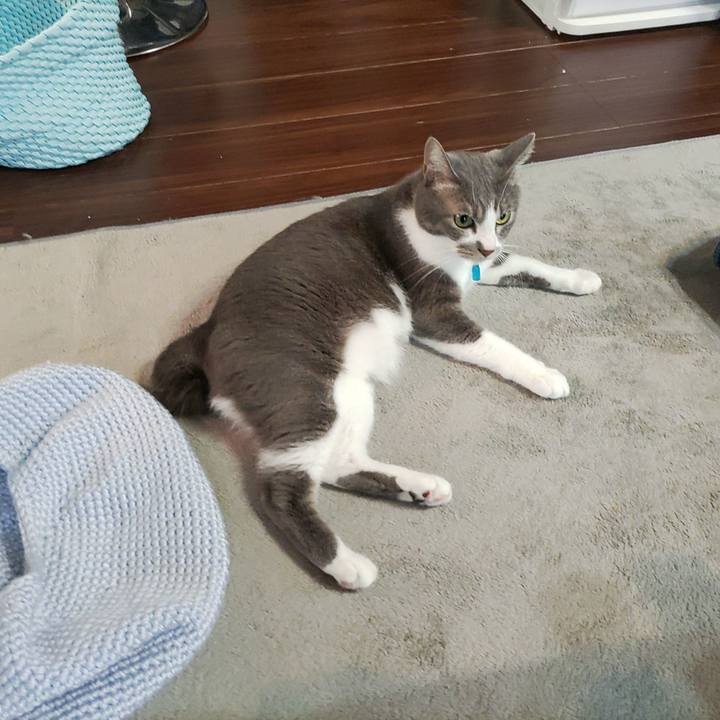 C05506dc c2db 4a94 8dd8 ff69c068ab75 1663711567363