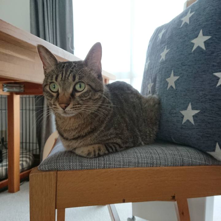 C0553069 1146 46cf bb74 93aa41573a7f 1567295213496