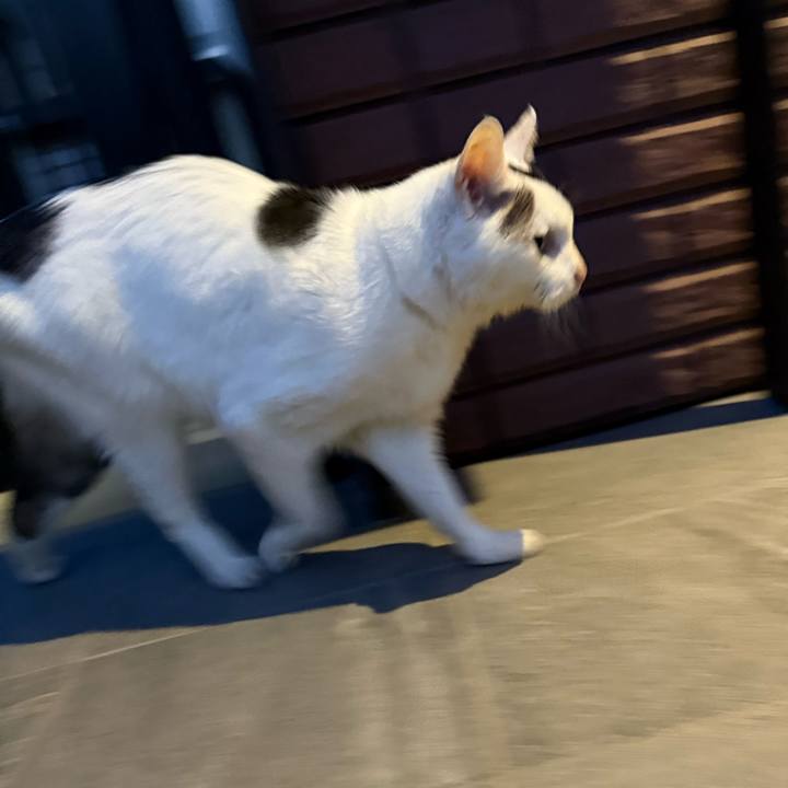 C055490c f353 47e4 a36c a42516996bfe 1769502962621