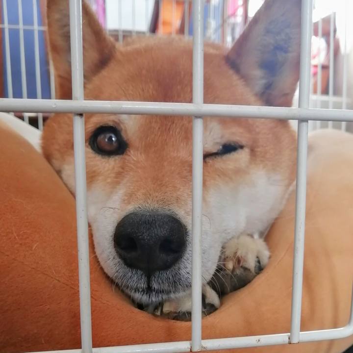 C0556908 d5a7 40eb 9272 da520b8abeb6 1616038674883