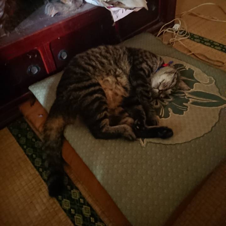 C055b56b 3256 4492 adfb b6ec11b4a9b8 1656110895290