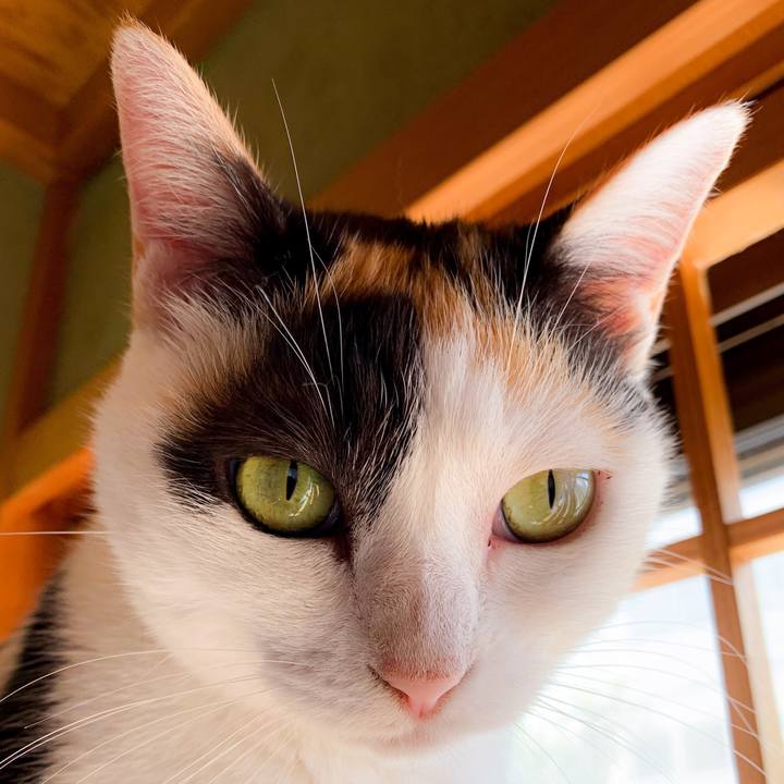 C055c071 1ea2 406c 8c69 7b0ac6f9f3c5 1566607749453