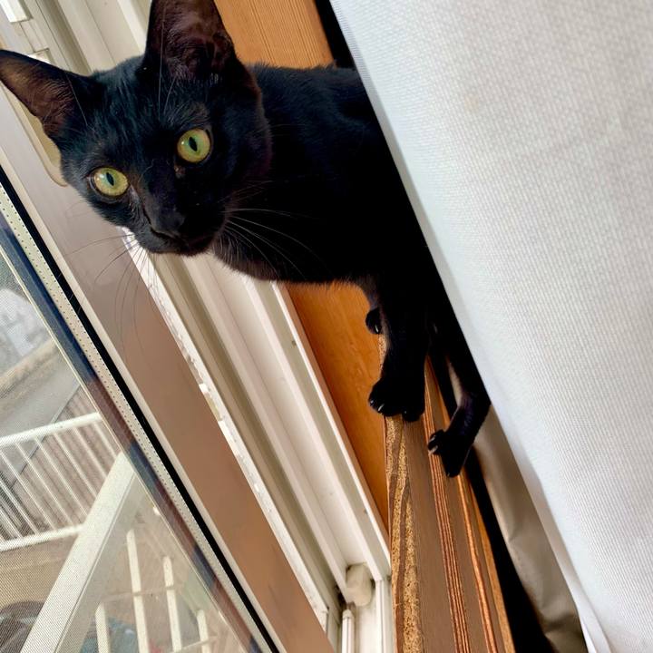 C055ccaf 7aa8 417b 8bc3 8201700e99ac 1653523553334