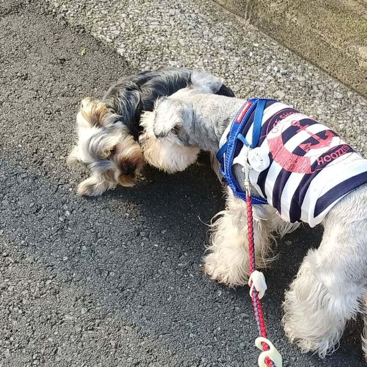 C055d0ca 566e 4592 bca6 4e420ae1d65b 1624672003780