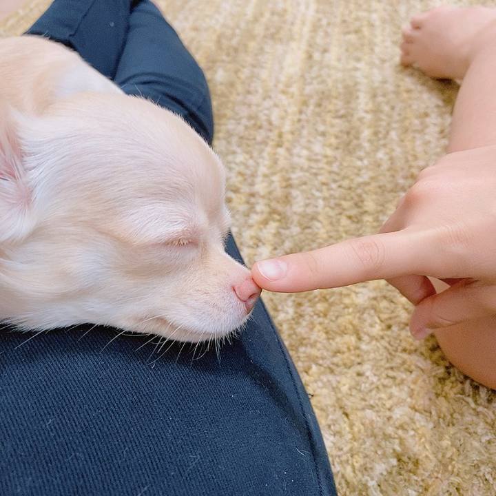 C055ed63 ef64 40d3 8c48 79bdb21c5fa2 1596360192695