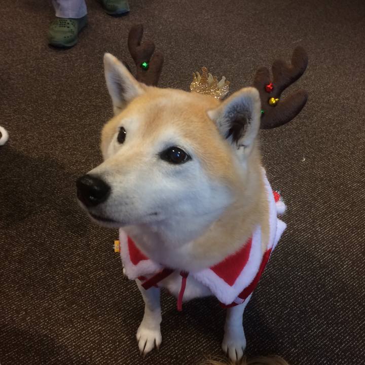 C055feb2 215e 4edb ac86 ac144d3d30e9 1546214877640