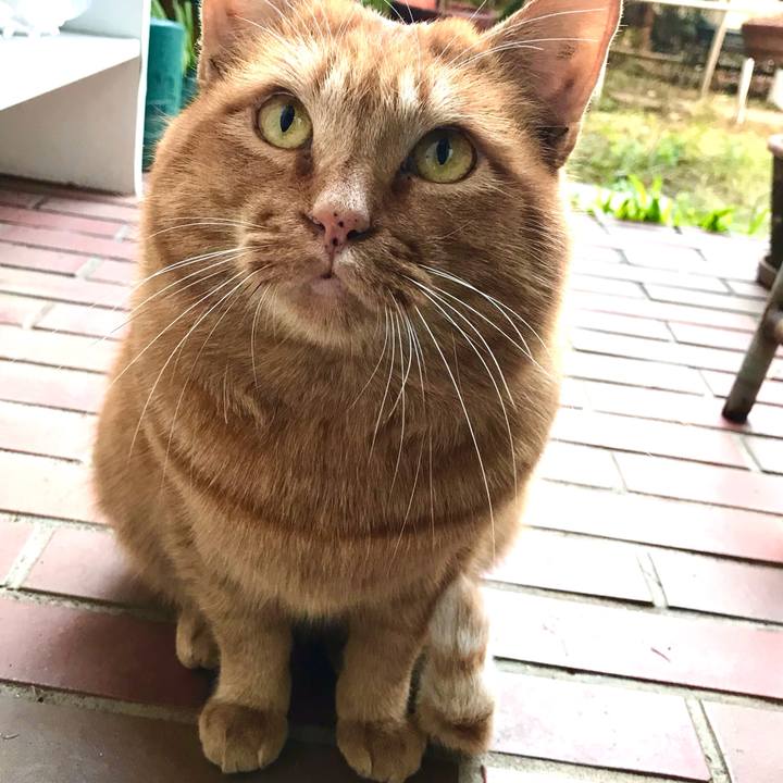 C05641c0 dc95 4742 8f79 339c2c0d8633 1609058961316