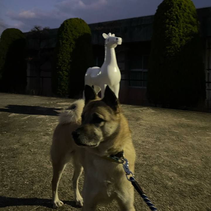 C0564570 a2ee 4165 995f 02ed5d549afc 1671365797091