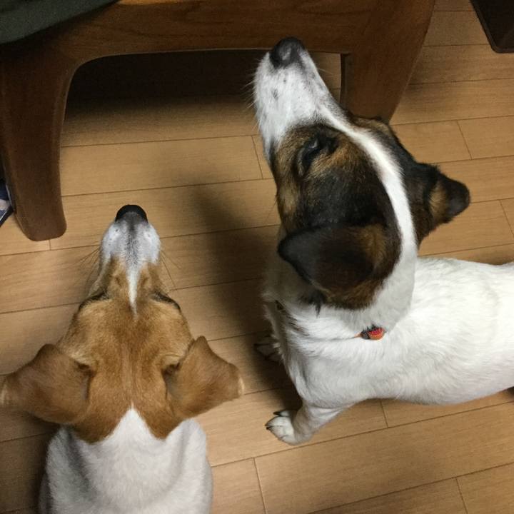 C056591a 82b0 4822 8250 4a3949354ec8 1542505879266