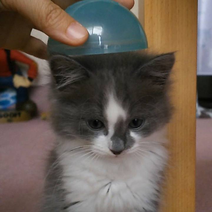 C0567a0b 6ebf 465e a99c dab19dfe2589 1560503780682